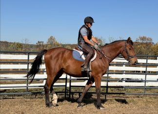 Special Plaidcast: Armand Leone on Protective Riding Vests by Taylor, Harris Insurance Services Plaidcast Episode Armand Leone