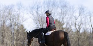 Proposed Changes to Bylaws will be Considered by the USEF Board of Directors In January at the 2025 Annual Meeting