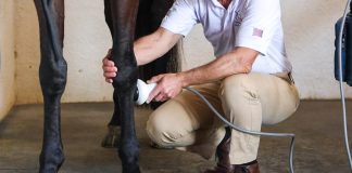Racehorses are Prohibited Shock Wave Therapy 30 Days Prior to Competition, USEF Proposes New Rule Change