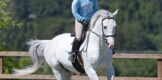 Trainer Tuesday: What is your favorite pole exercise to help a student, horse, or both in practicing skills for jumping?