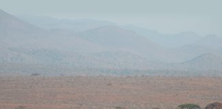 Special Plaidcast: Stacey Adams on Horseback Vacations by Taylor, Harris Insurance Services Plaidcast Episode Stacey Adams