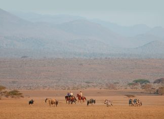 Special Plaidcast: Stacey Adams on Horseback Vacations by Taylor, Harris Insurance Services Plaidcast Episode Stacey Adams