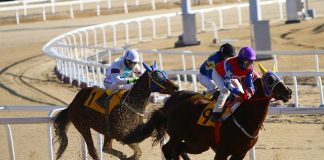 Casino Betting and Horse Racing: Comparing Online Gambling Platforms with Traditional Casino Betting