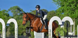 Arion Sellier Named Title Sponsor of the Arion Sellier Equitation Championship
