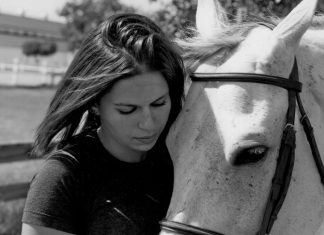 Carving Out Space for Yourself in the Horse World–And Beyond