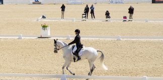The Dressage Foundation Set to Award Record Amount of Grants in 2025