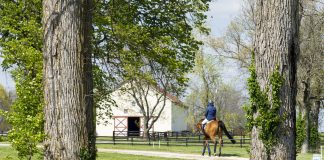 Putting Things in Pencil: Community, Belief, and the Enduring Love of the Horse