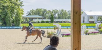Food for Thought: A Nutrition Guide For Equestrian Athletes