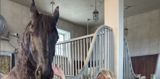 Martha Stewart’s Horse Bond Has Health Scare–She Emphasizes Checking Hay