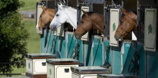 Trainer Tuesday: What’s a barn rule you didn’t understand or appreciate growing up and now implement and why?