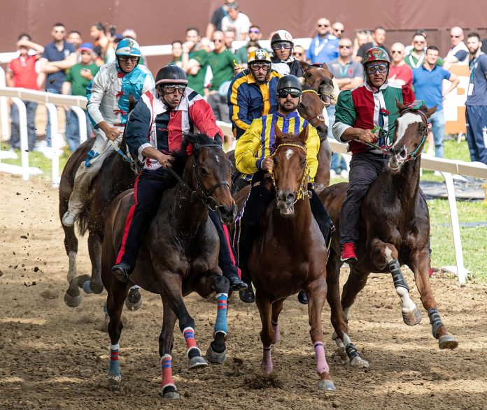 horses-7305149_1280