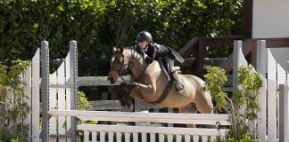 Woodlands Corduroy and Lilly Ward Capture $1,500 USHJA Pony Hunt & Go Derby to Kickstart WEF 1