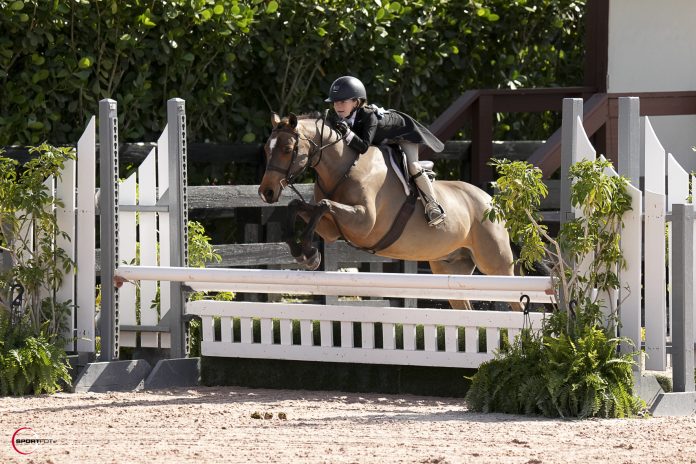 Wellington FL ; Winter Equestrian Festival - Week 1 08/01/2025