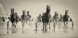 Harness Racing – How it Started & Where Is It Now?