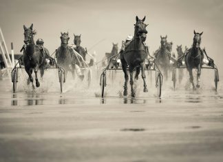 Harness Racing – How it Started & Where Is It Now?