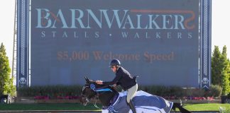 T-Quick Hurricane Z and Allison Kroff Win $5,000 Barnwalkers 1.35 m Welcome Speed on Day One of Desert Circuit