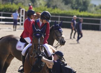 Rise of the Horse Industry Freelancer