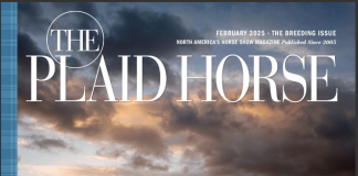 The Plaidchat: February issue of The Plaid Horse Magazine The Plaidchat February Issue