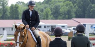 Breaking the Cycle of Isolation in Equestrian Sport