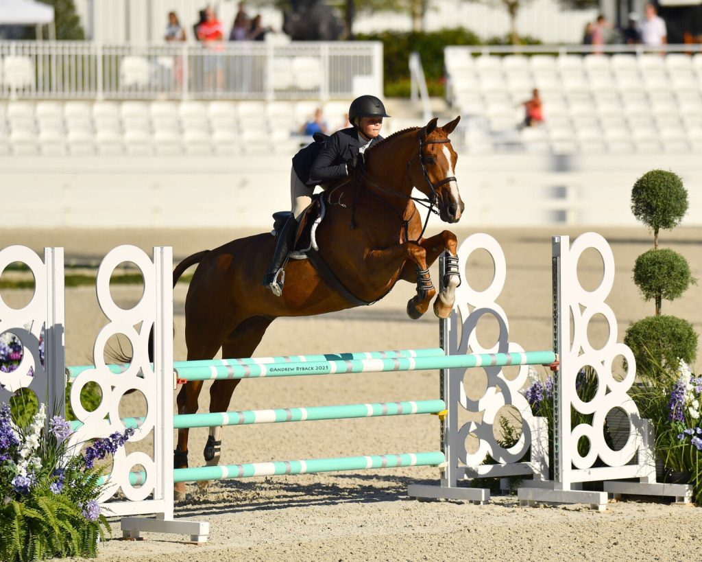 ジノリ ジオポンティ Equestrian 乗馬 19.5×2 European Junior Gold