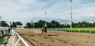 Betting on Equestrian Sports: A Guide for Horse Racing Enthusiasts