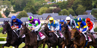 Sovereignty and Journalism Take Their Rivalry to the Breeders’ Cup Classic: Which Three-Year-Olds Have Won the Storied Race?