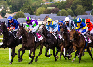 How To Get Stuck Into The Cheltenham Festival