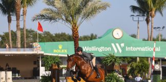 Divine Romance and Patricia Griffith Win Big During WCHR Week at WEF 2025