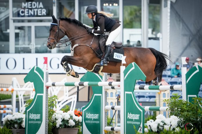 wef challenge cup round 7; 7497, DONATELLO 141, ASHLEE BOND; Sportfot