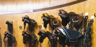It Doesn’t Matter What Saddle You Ride In