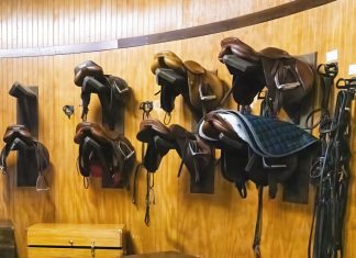 It Doesn’t Matter What Saddle You Ride In