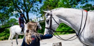 The Mare and the Mirror: A Horse Girl’s Journey with Anxiety, Depression, and Self-Doubt