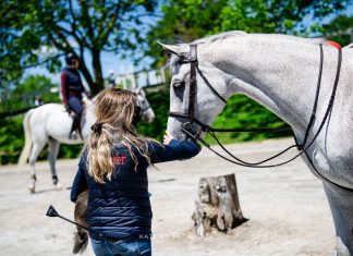 The Mare and the Mirror: A Horse Girl’s Journey with Anxiety, Depression, and Self-Doubt
