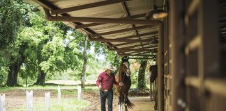 Riding Through Time: The Costarricense de Paso Experience at El Encanto