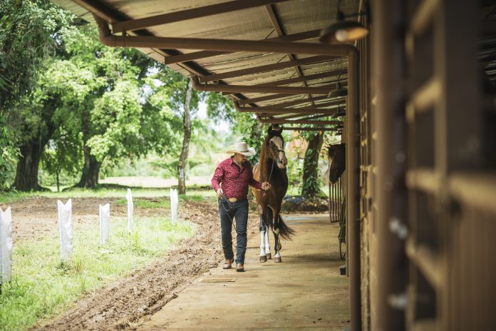 EL LUGAR_8-24_Horses_601