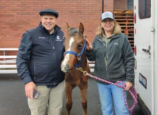 Specialty Surgery Gives Wry Nose Foal a Chance at a Full Life