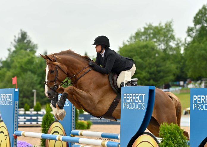 Glef_Jumper (2)