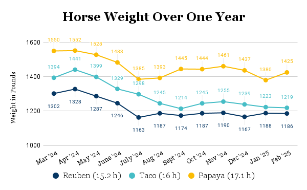 Horse Weight Over One Year
