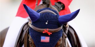 Q&A With USEF’s Tom O’Mara and Vicki Lowell On The US Equestrian Open Jumping Final