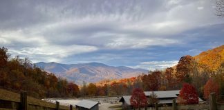 Balsam Mountain Preserve: An Equestrian Oasis in the North Carolina Mountains