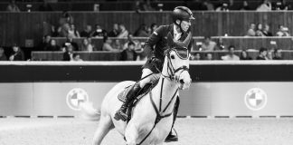 The R-haltenswert Movement and the Organizers of the FEI World Cup Finals 2025 in Basel Are Launching a Pilot Project for the Welfare of Horses