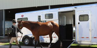 Hart Trailers: Built to Last & Family-Run—For 60 Years and Counting