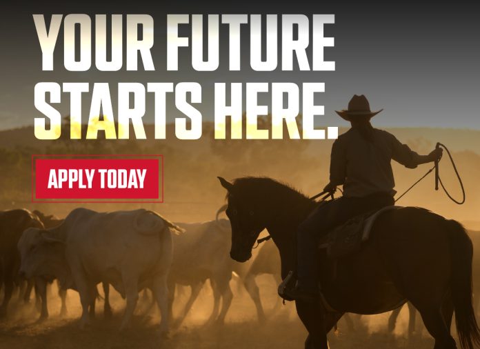 Purina_Scholarship