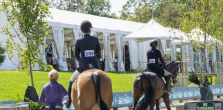 Conquering Fears: The Journey Back to the Show Ring