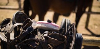 Top 8 Essential Accessories for Competitive Equestrians