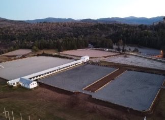The Plaidchat: Lake Placid Horse Show Chairman Philip Richter & AQHA Director of Competitions Scott Neuman Plaidchat Plaidcast Episode Philip Richter Scott Neuman