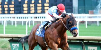 The Best Supplements for High Performance Jockeys