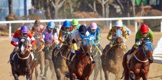Royal Ascot 2026: 3 Horses to Watch in the Gold Cup
