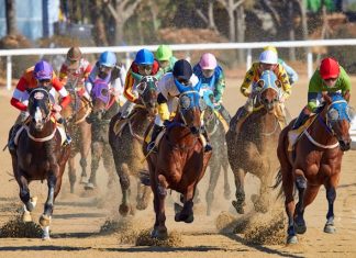 Royal Ascot 2026: 3 Horses to Watch in the Gold Cup