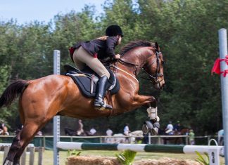 What Equestrians Actually Wear Off the Horse (And How to Shop Smarter for It)